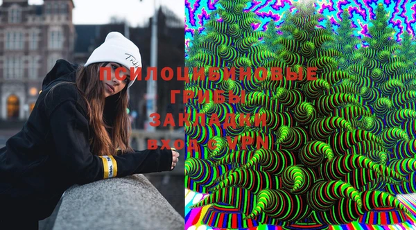 прущая мука Алексин