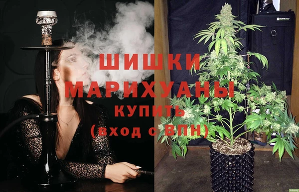 PSILOCYBIN Няндома
