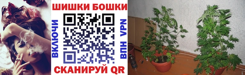 МАРИХУАНА план  mega зеркало  Новоульяновск  даркнет сайт 